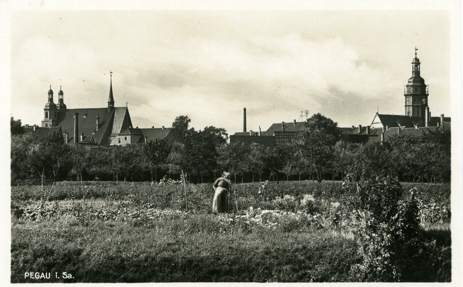 Blick von Süden auf Pegau, 1928